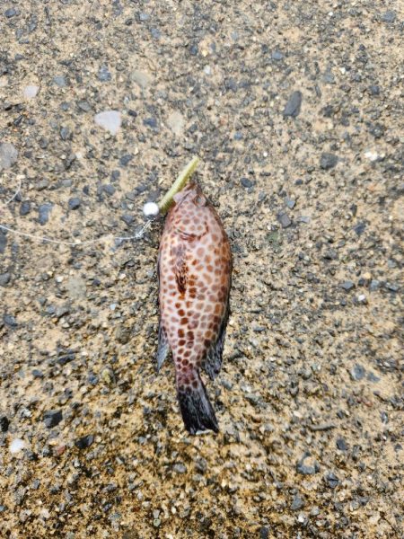 雨の遠征　2日目