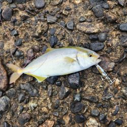 盆の釣り　1日目