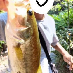 チャビングでまさかのゲスト