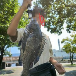 チヌの餌釣り