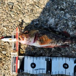 盆の釣り　2日目