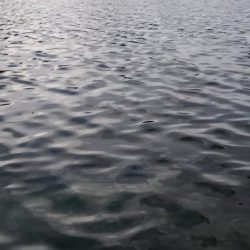 盆の釣り 4日目