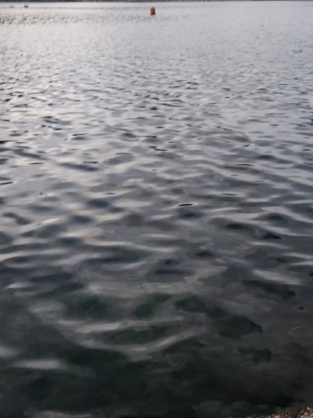 盆の釣り 4日目