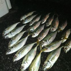 フロートゲーム～