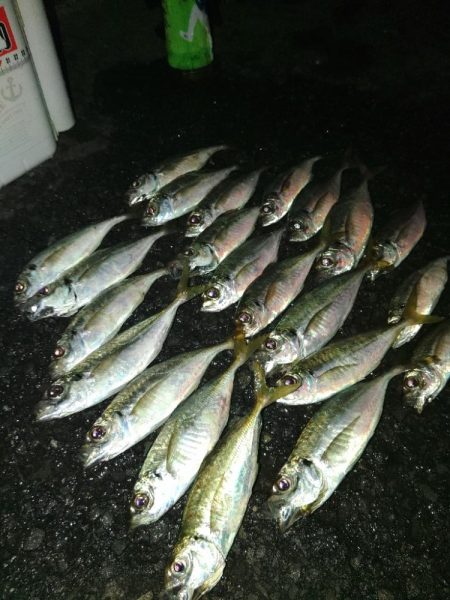 フロートゲーム～