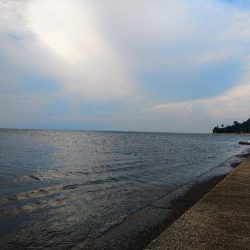 ワインドゲーム～