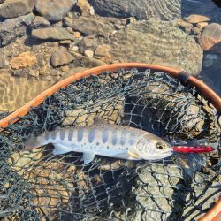 大雨強風警報の恩恵は終わってた、、