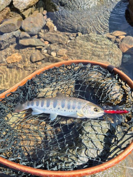 大雨強風警報の恩恵は終わってた、、