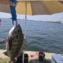 暑さに負けず🥵紀州釣り🥵