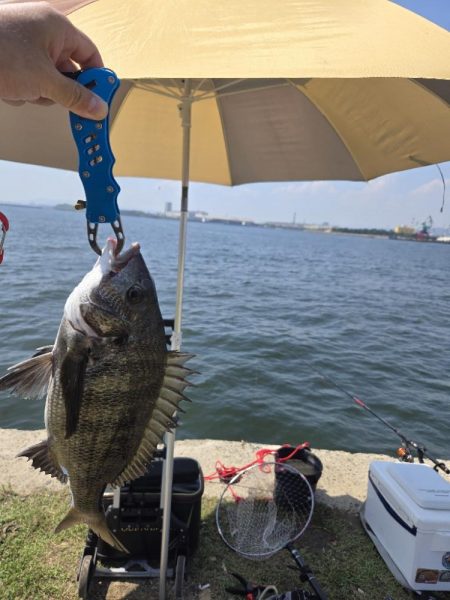 暑さに負けず🥵紀州釣り🥵