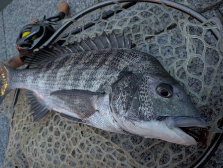 広島チニング棚部会!