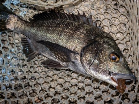 広島敷石ネチネチニング