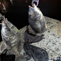 大人の夜遊び広島敷石ネチネチニング