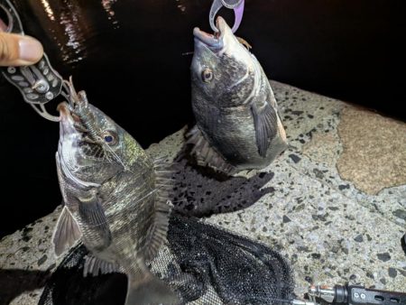 大人の夜遊び広島敷石ネチネチニング