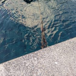 暑さより熱さが欲しい