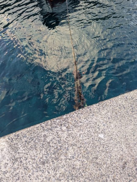 暑さより熱さが欲しい