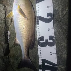 釣りすぎは良くないので帰る