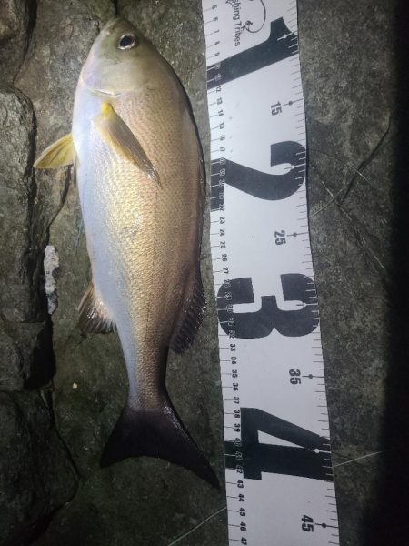 釣りすぎは良くないので帰る