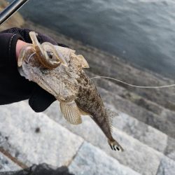 ナイトチニング