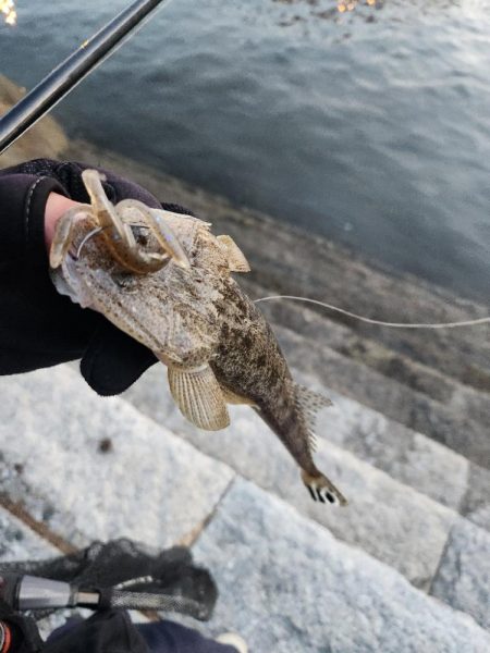 ナイトチニング