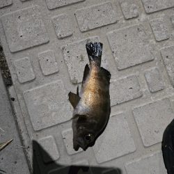 はじめての場所