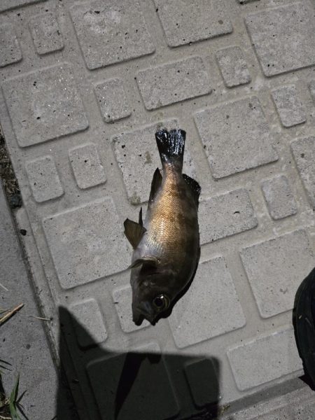 はじめての場所