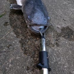 光の中から現れたのは