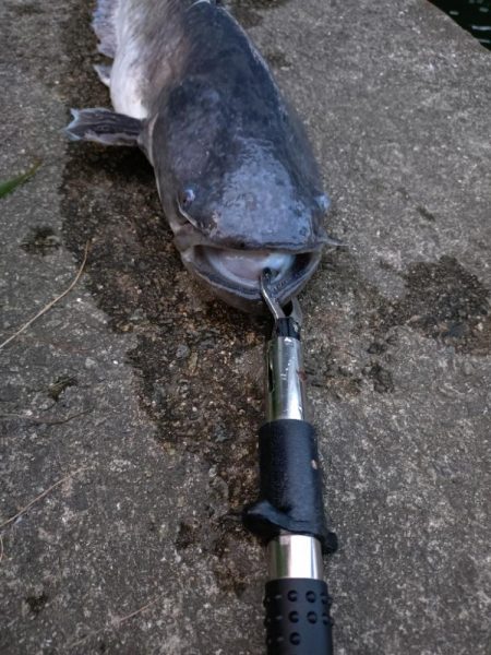 光の中から現れたのは