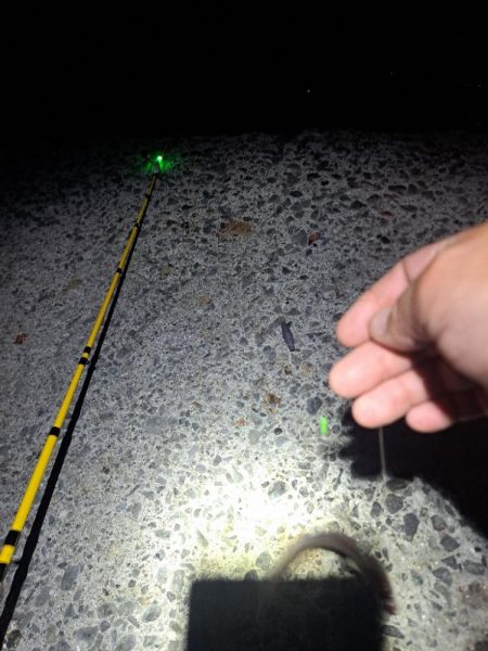 厳しいアナゴ釣り