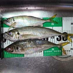 サーフアジング