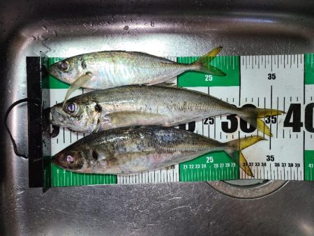 サーフアジング