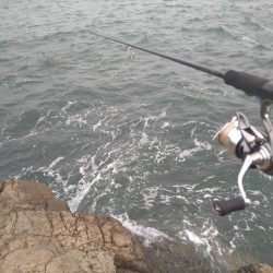 うねりの中で…