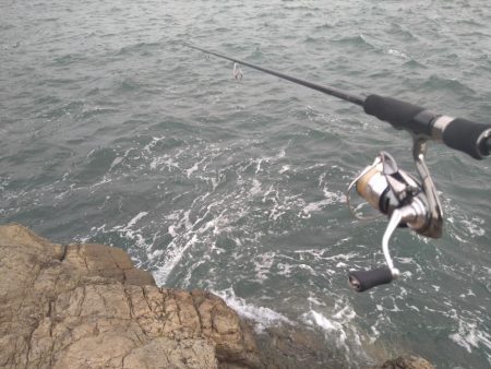 うねりの中で…