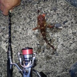 ライトロック(遠征)