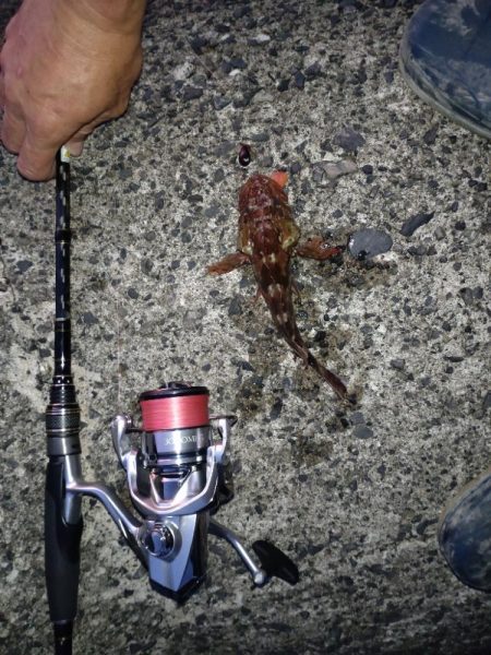 ライトロック(遠征)