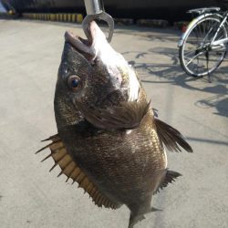 ベイトリール入魂