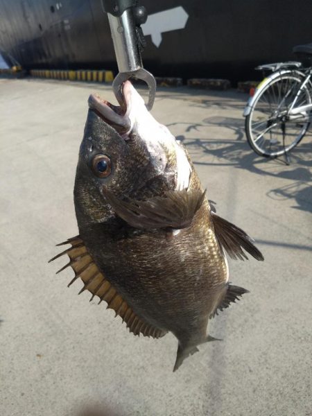 ベイトリール入魂