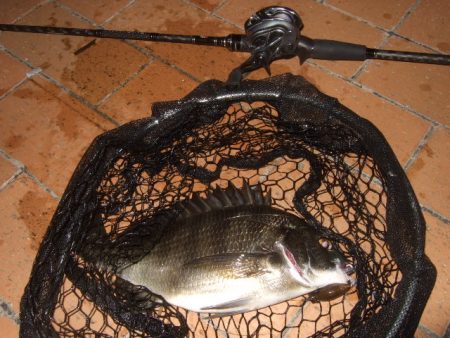 ハードルアーだけで