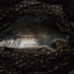 ホームエリアで