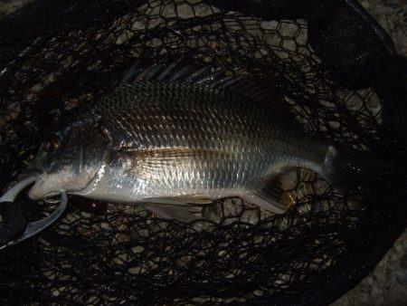 ホームエリアで