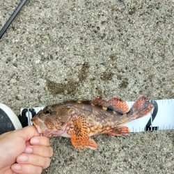 三重・和歌山遠征1日目