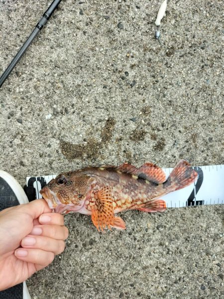 三重・和歌山遠征1日目