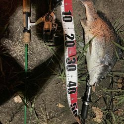 アーバンチニング②