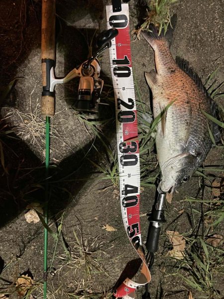 アーバンチニング②