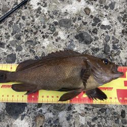 港でガヤ祭り！！