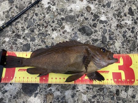 港でガヤ祭り！！