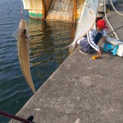 津居山港のキス調査