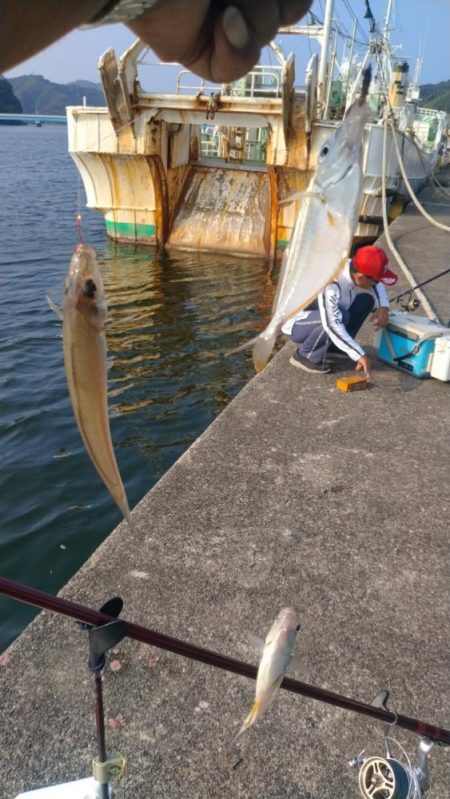 津居山港のキス調査