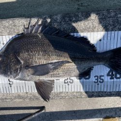 イチノ兄弟、釣果！