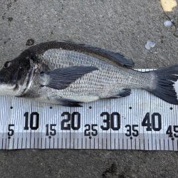 イチノ兄弟、釣果！